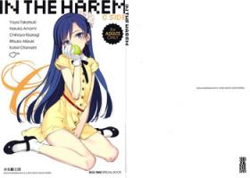 Trimmed IN THE HAREM C SIDE - The idolmaster Asians