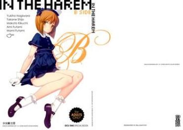 Swallow IN THE HAREM B SIDE – The Idolmaster
