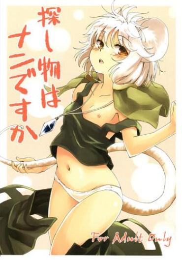 (C82) [Animal Passion (Yude Pea)] Sagashimono Wa Nan Desu Ka | What Is It That You Are Looking For (Touhou Project) [English] {pesu}