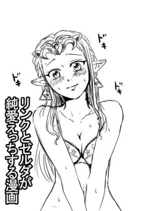 Cum Eating Link to Zelda ga Jun Ai Ecchi suru Manga - The legend of zelda Gay Orgy