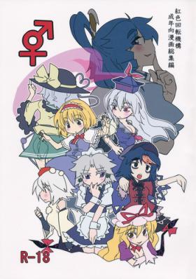 And ♂♀ - Touhou project Gay Cumjerkingoff