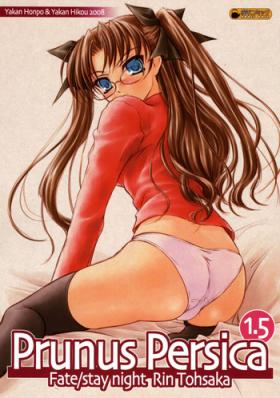 Booty Prunus Persica 1.5 - Fate stay night Eurobabe