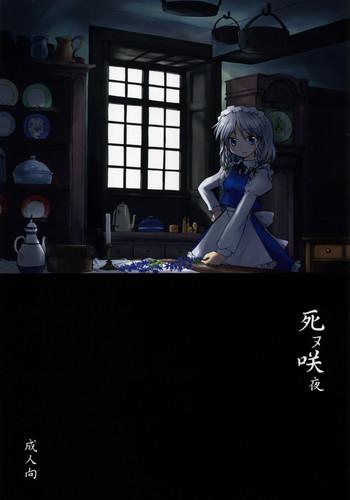 Bang Bros Shinu Sakuya - Touhou Project Man