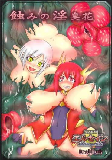 Panty Shield Knight Elsain Vol. 16 Mushibami No Inshuu Hana  Gaygroup