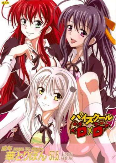 Leite Seinen Hana To Ribon 57. 5 Paisukūru DxD – Highschool Dxd Hetero