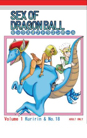 She Sex of Dragonball - Dragon ball z Argentino