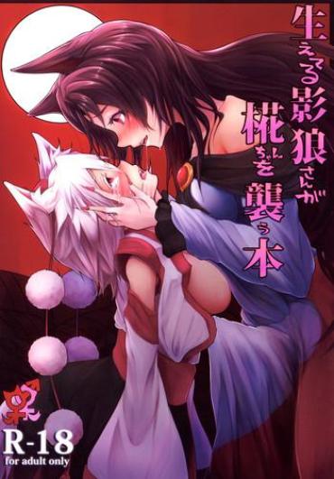 Celebrity Sex Scene (Reitaisai 11) [Tecoya (Yatsugi Teco)] Haeteru Kagerou-san Ga Momiji-chan Wo Osou Hon (Touhou Project) – Touhou Project