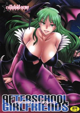 Exposed AFTERSCHOOL GIRLFRIENDS - Street fighter King of fighters Darkstalkers Role Play