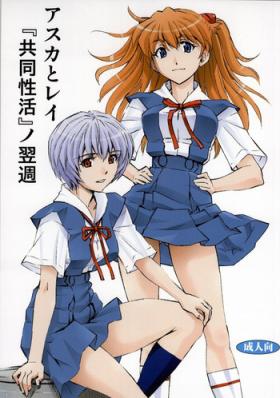 Piroca Asuka to Rei "Kyoudou Seikatsu" no Yokushuu - Neon genesis evangelion Girl On Girl