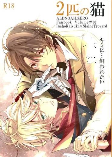 Cdmx 2-hiki No Neko – Aldnoah.zero Trannies