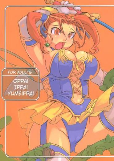 (C69) [Gadoujuku (Kawacchi Hirohiro)] Oppai Ippai Yume Oppai (Dragon Quest VIII) [English] [EHCOVE]