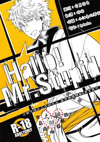 Slapping Hallo! Mr.Stupid - Gintama Brother