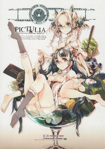 pictulia + 4P Leaflet