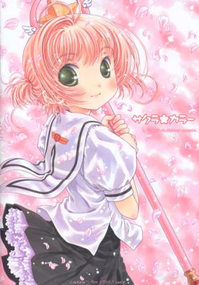 Hairy Sakura Color - Cardcaptor sakura Mistress