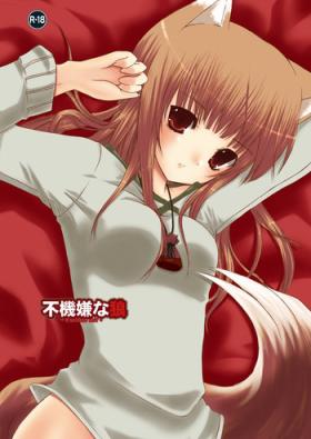 Topless Fukigen na Ookami - Spice and wolf Big Ass