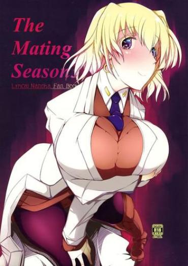 Hot Naked Girl The Mating Season3 – Mahou Shoujo Lyrical Nanoha Outside