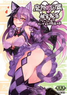 Mamono Musume Zukan Higai Houkoku| Monstergirl Encyclopedia Damage Report