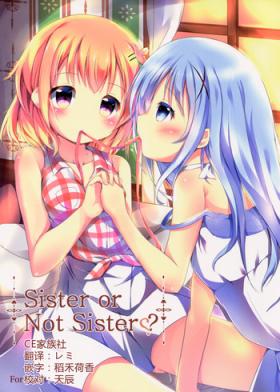 European Sister or Not Sister?? - Gochuumon wa usagi desu ka Sexy Girl