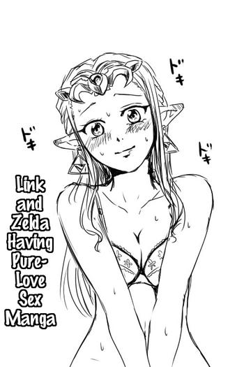 Pau Link to Zelda ga Jun Ai Ecchi suru Manga - The legend of zelda Big Penis