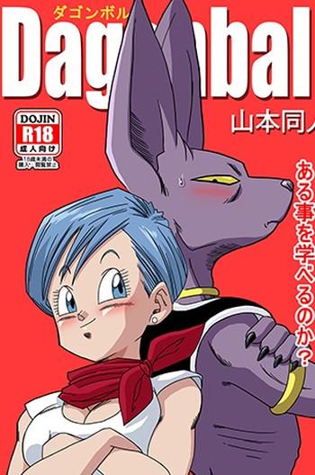 Seduction Beerus X Bulma Doujin (English) ブルマが地球を救う! - Dragon ball z Swingers