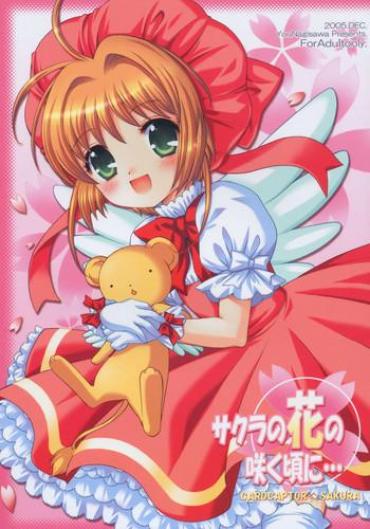 Anal Licking Sakura No Hana No Saku Koro Ni… – Cardcaptor Sakura