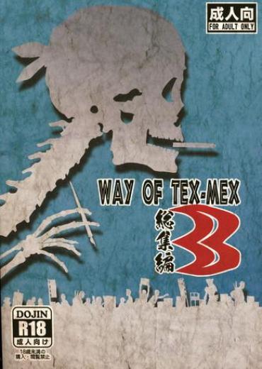 Caseiro WAY OF TEX-MEX Soushuuhen 3 + Omakebon – Dead Or Alive To Heart Xenosaga Camgirls