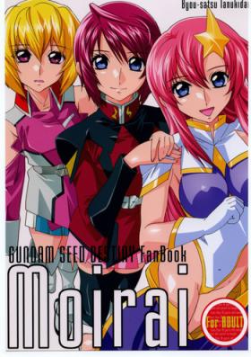 Solo Female Moirai - Gundam seed destiny Bribe
