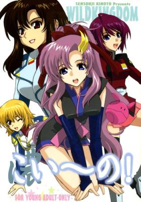 Stroking Koi~no! - Gundam seed destiny Strip