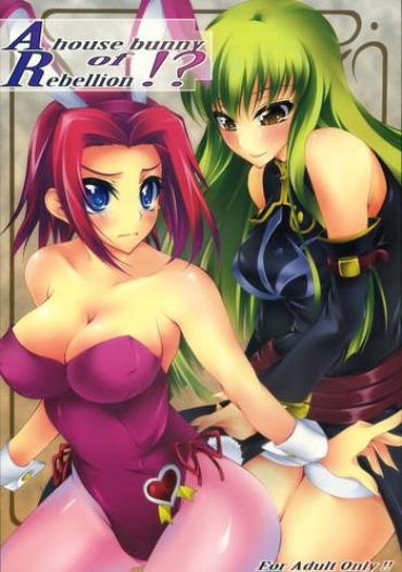 Cowgirl A House Bunny Of Rebellion!? – Code Geass