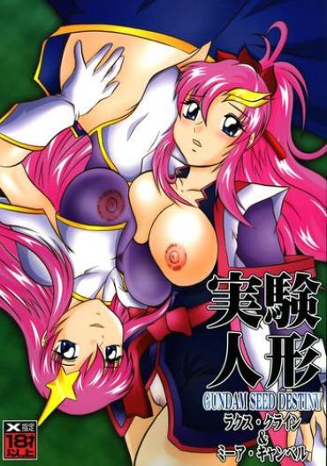 Tan Jikken Ningyou ～Lacus Clyne & Meer Campbell～ – Gundam Seed Destiny