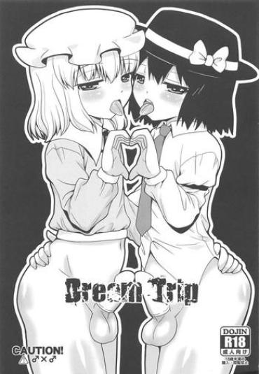 Free Petite Porn Dream Trip – Touhou Project Exgf