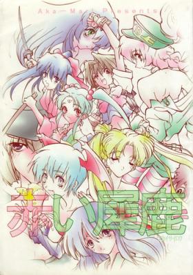 Longhair Akai Sairoku - Neon genesis evangelion Sailor moon Darkstalkers Sakura taisen Tenchi muyo Martian successor nadesico Rival schools Perfect