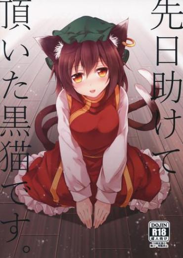 (Touhou Goudou Event 2017 Shinshun!) [Midorineko (Midori)] Senjitsu Tasukete Itadaita Kuroneko Desu. | I'm The Black Cat You Helped Out The Other Day. (Touhou Project) [English] [L-san]