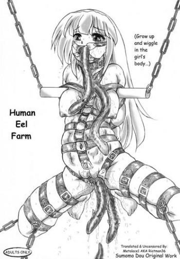 Bigbooty Jintai Unagi Youshokujou Omake Paper Tsuki | Human Eel Farm  Culote