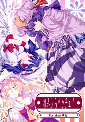 Toilet RemiFlaPatche! - Touhou project Teamskeet
