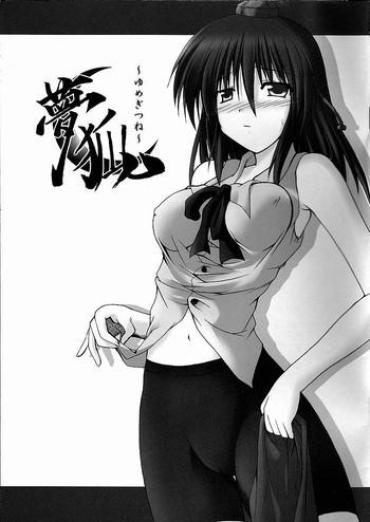 Hardsex Yumegitsune – Touhou Project