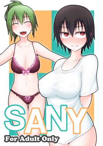 Perverted SANY - Touhou Project