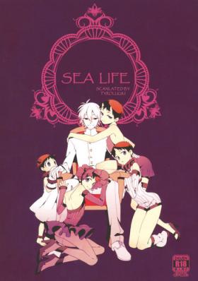  Shinkai Seikatsu | Sea Life - Neon genesis evangelion Blowjob