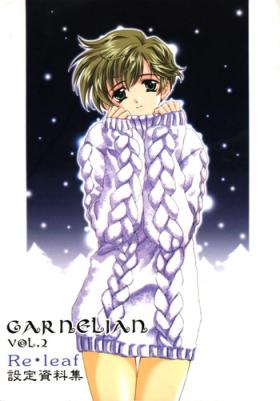 Hunks CARNELIAN vol.2 - Re·Leaf Settei Shiryou Tsudo Gay Hairy