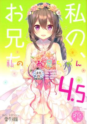 Watashi no, Onii-chan 4.5 Bangaihen