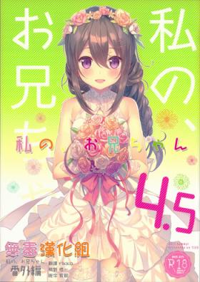 Watashi no, Onii-chan 4.5 Bangaihen