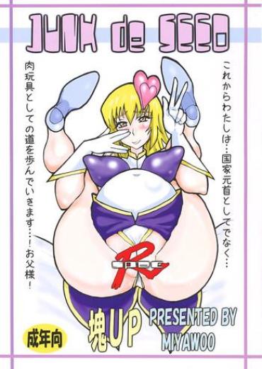 Petite JUNK De SEED – Gundam Seed Destiny Big Natural Tits