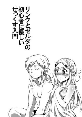 Facesitting Link to Zelda no Shoshinsha ni Yasashii Sex Nyuumon - The legend of zelda Publico