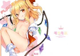 Viet Nam FLANEX - Touhou project Shaved