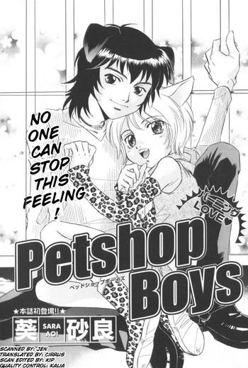 Gay Brokenboys Petshop Boys Porno 18