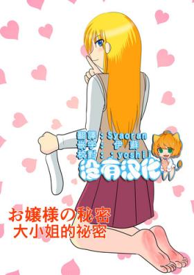 Animated Ojou-sama no Himitsu | 大小姐的秘密 Gay Fuck