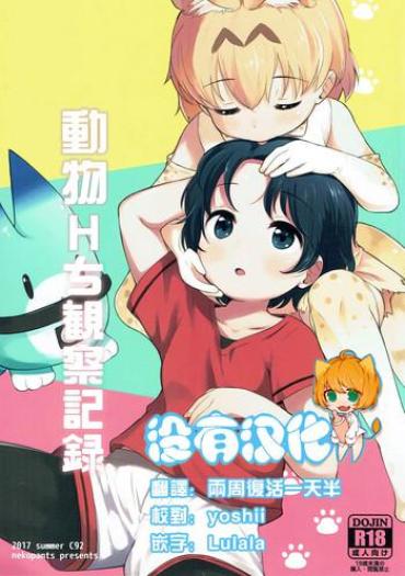 Gay Physicals Kemono Ecchi Kansatsu Kiroku – Kemono Friends Handjob