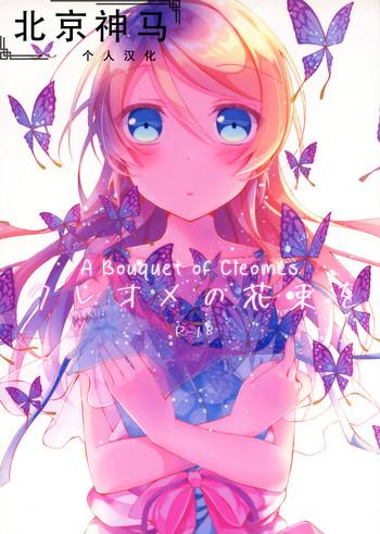 (C91) [Genmaicha (Mogu)] Cleome No Hanataba O | A Bouquet Of Cleomes (Love Live!) [Chinese] [北京神马个人汉化]