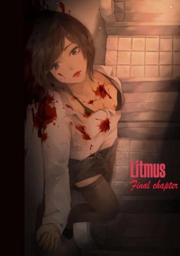 [valdam] Litmus – Final Chapter [English]