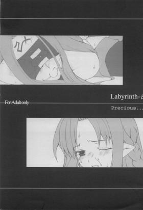 Body Labyrinth-β - Fate stay night Curious